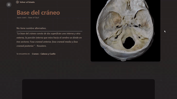 Exploración detallada de huesos